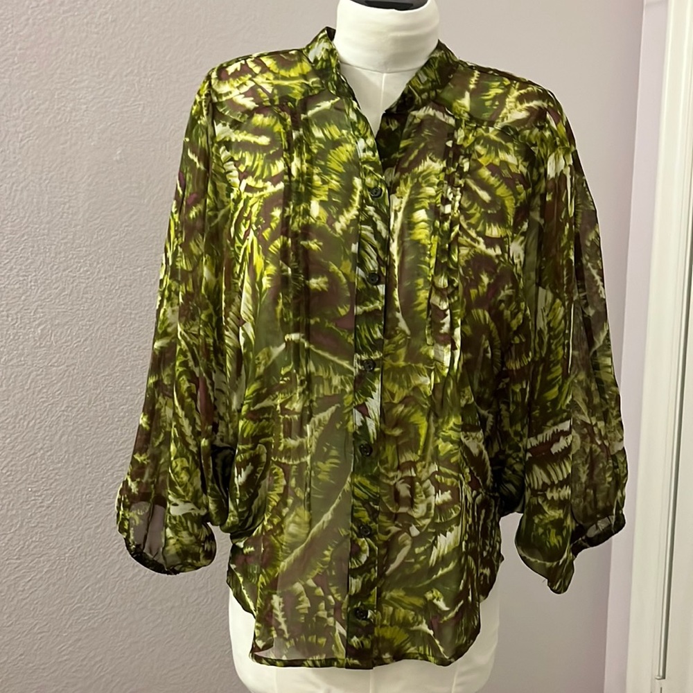 Beautiful Sheer Dolman-Sleeved Blouse